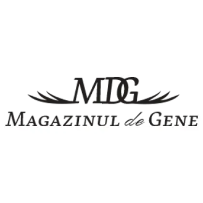 Magazinuldegene